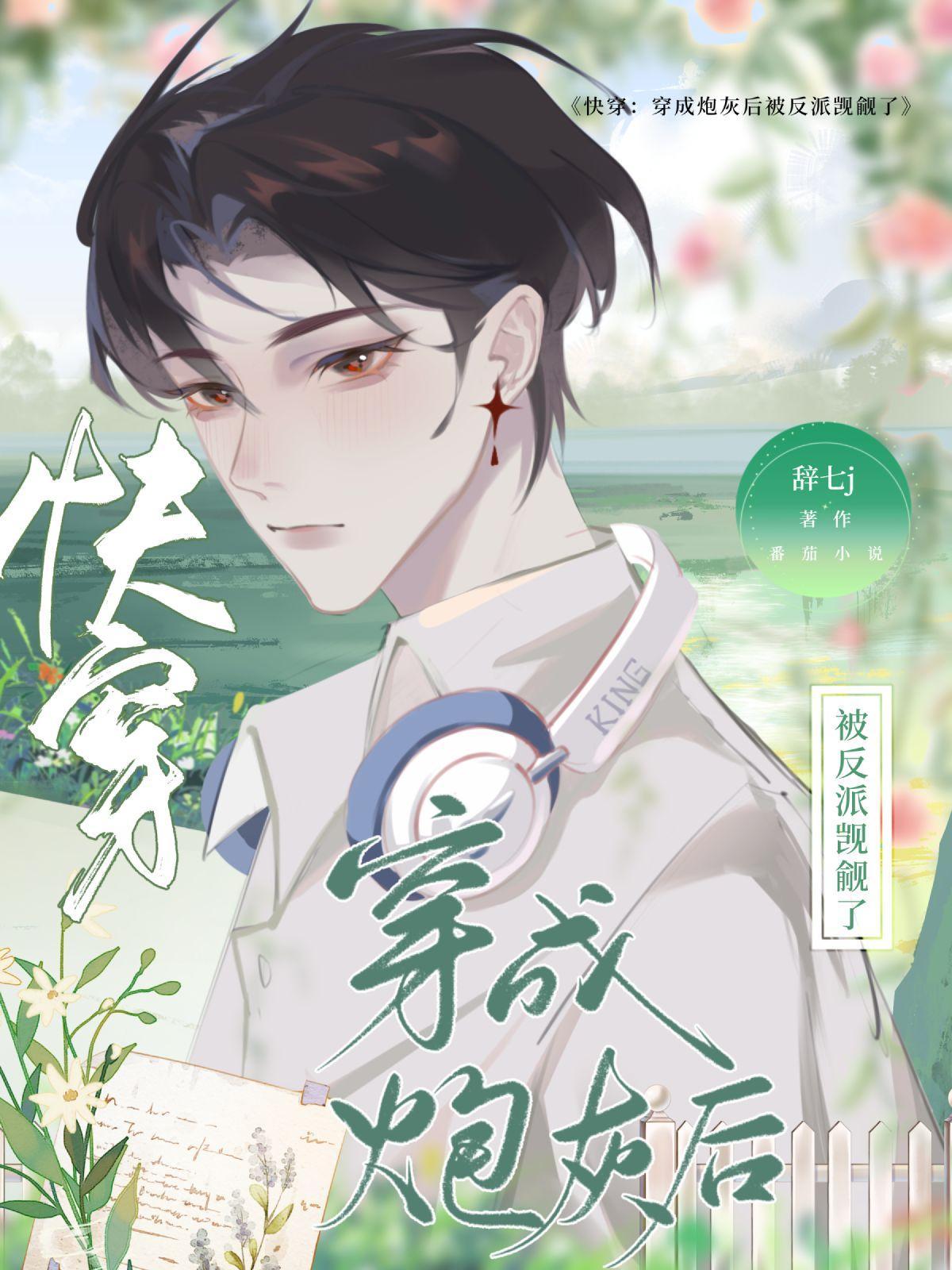 我竟然成为了李云龙老班长