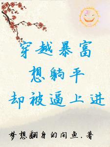 透视傻医txt