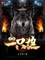 三国之荆州少主刘绮