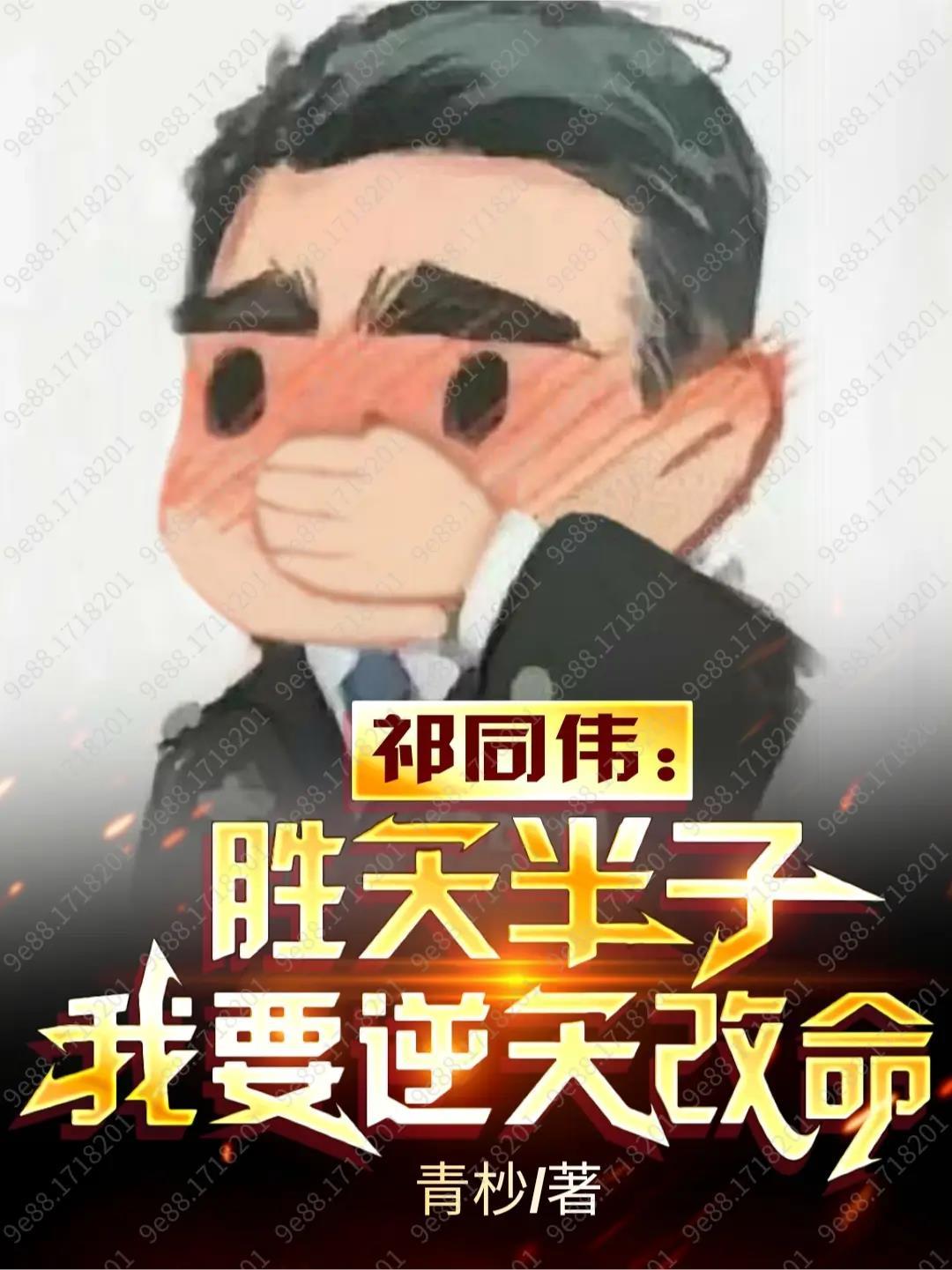 我入德国国家队TXT