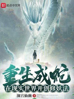 万古第一婿许无舟
