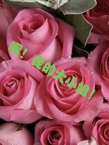创世纪元贴吧