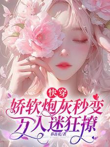 主角是百岁老人的