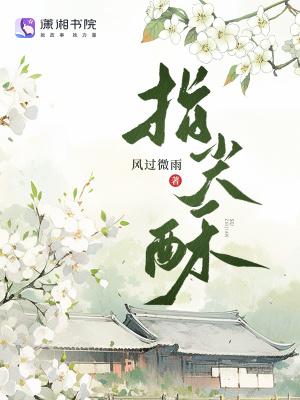 手机里的大明朝TXT百度