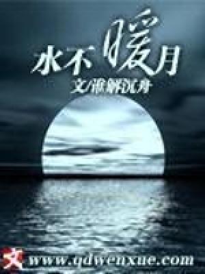 驸马又不见了