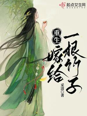 公主驸马爷又跑了